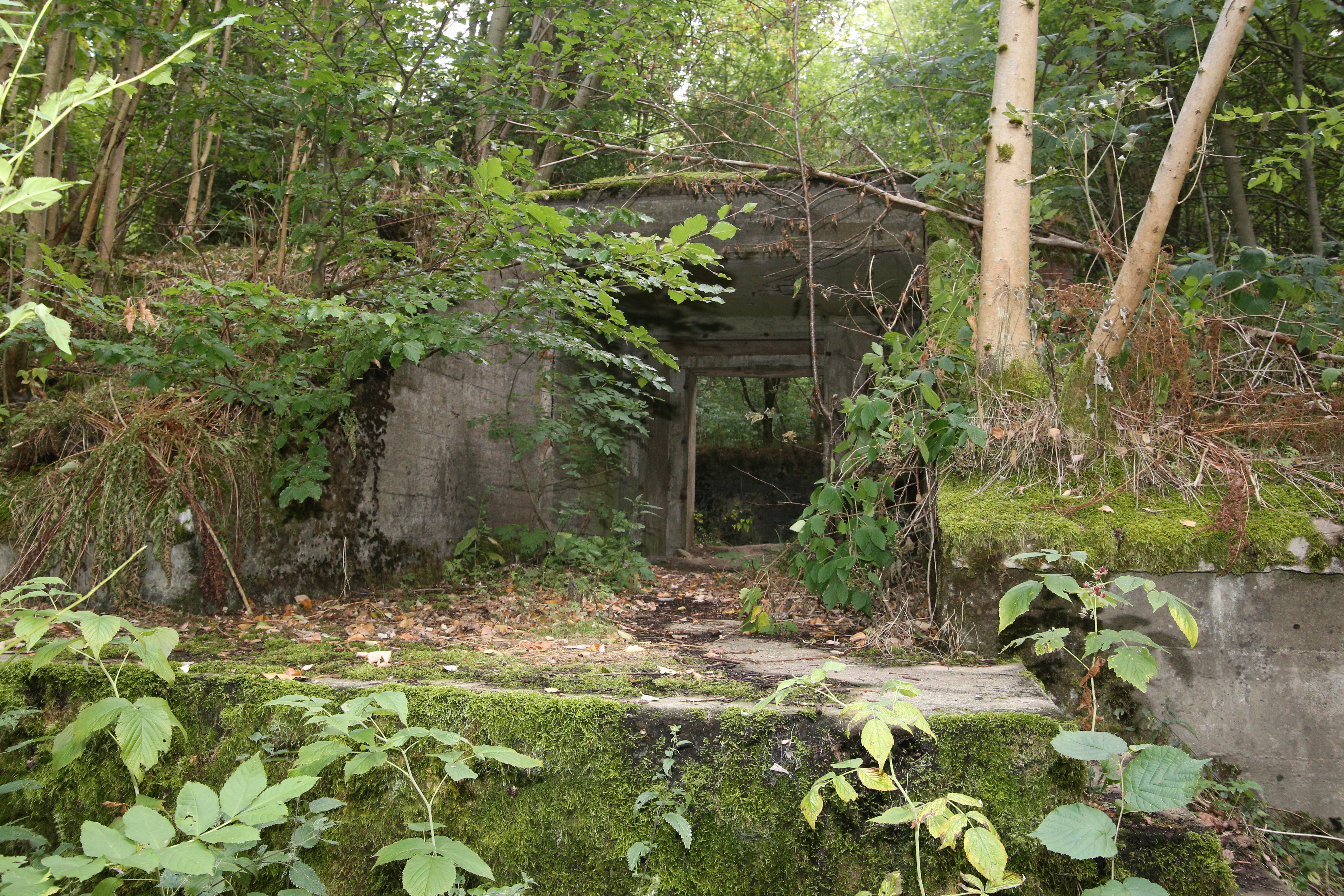 Vergessener Ort im Vogelsberg – die Luftmunitionsanstalt Hartmannshain