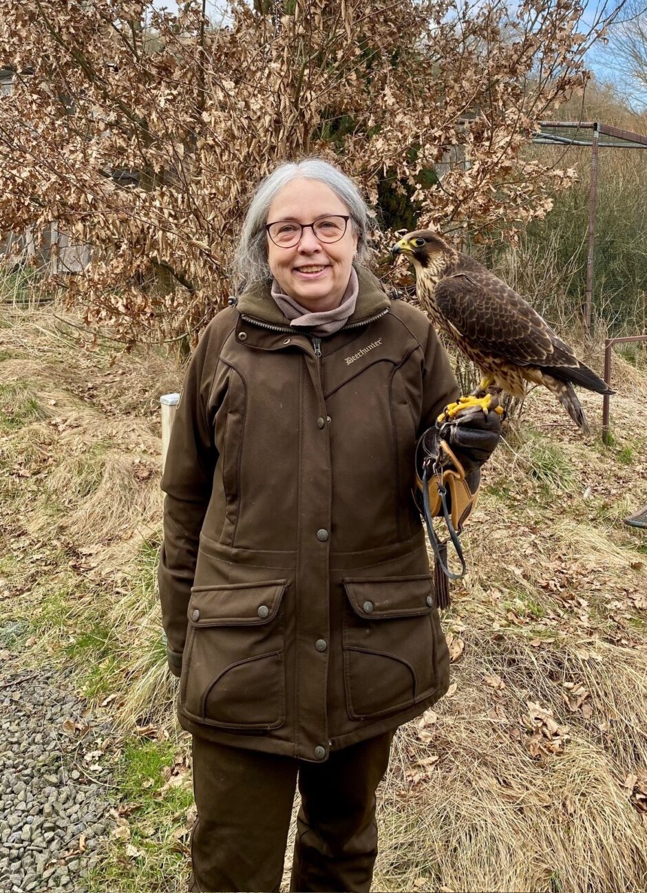 Erhalt der Fauna im Vogelsberg: „Noctua-Stiftung“ unterstützt die Wildvogelauffangstation an der Greifvogelwarte Feldatal